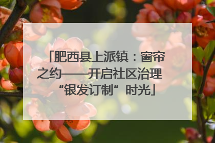 肥西县上派镇：窗帘之约——开启社区治理“银发订制”时光