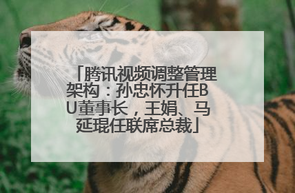 腾讯视频调整管理架构：孙忠怀升任BU董事长，王娟、马延琨任联席总裁