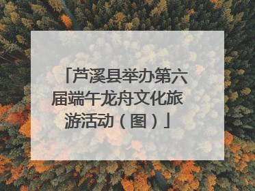 芦溪县举办第六届端午龙舟文化旅游活动（图）