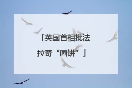 英国首相批法拉奇“画饼”