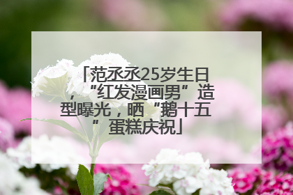 范丞丞25岁生日，“红发漫画男”造型曝光，晒“鹅十五”蛋糕庆祝