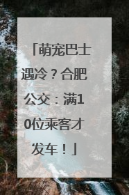 萌宠巴士遇冷？合肥公交：满10位乘客才发车！