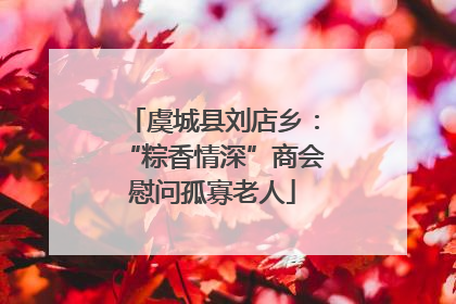 虞城县刘店乡：“粽香情深”商会慰问孤寡老人