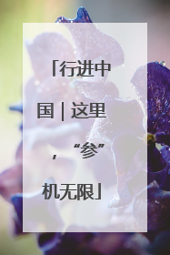 行进中国｜这里，“参”机无限