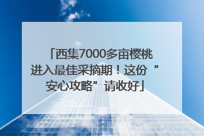 西集7000多亩樱桃进入最佳采摘期！这份“安心攻略”请收好