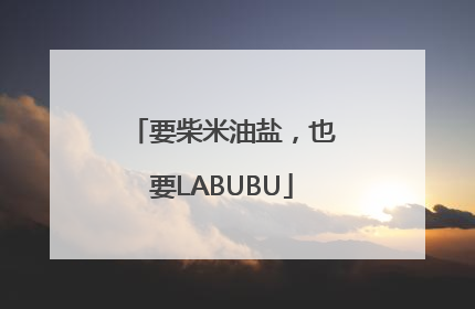 要柴米油盐，也要LABUBU