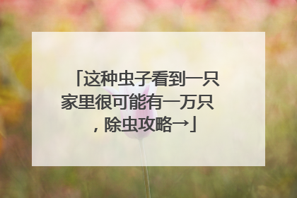 这种虫子看到一只家里很可能有一万只，除虫攻略→