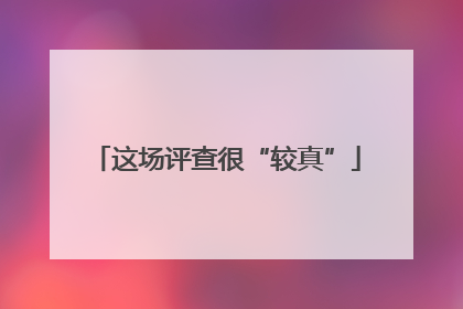 这场评查很“较真”