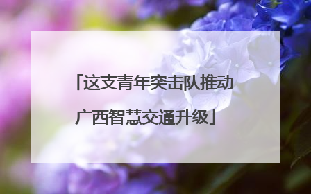 这支青年突击队推动广西智慧交通升级