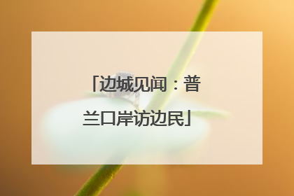 边城见闻：普兰口岸访边民