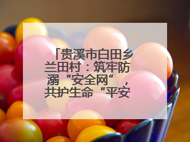 贵溪市白田乡兰田村：筑牢防溺“安全网”，共护生命“平安线”（图）