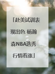 赴美试训表现出色 杨瀚森NBA选秀行情看涨