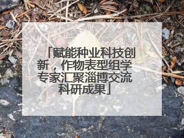 赋能种业科技创新，作物表型组学专家汇聚淄博交流科研成果