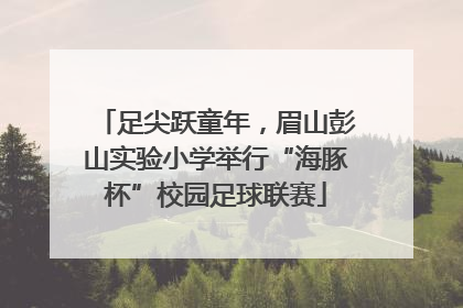 足尖跃童年，眉山彭山实验小学举行“海豚杯”校园足球联赛