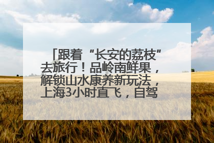 跟着“长安的荔枝”去旅行！品岭南鲜果，解锁山水康养新玩法，上海3小时直飞，自驾高速费优惠