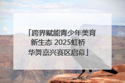 跨界赋能青少年美育新生态 2025虹桥华舞嘉兴赛区启幕