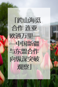 跨山海觅合作 连亚欧通万里——中国新疆与东盟合作向纵深突破观察