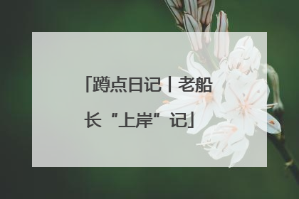 蹲点日记丨老船长“上岸”记