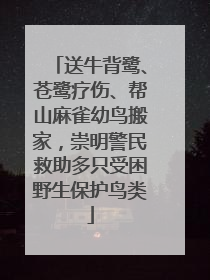 送牛背鹭、苍鹭疗伤、帮山麻雀幼鸟搬家，崇明警民救助多只受困野生保护鸟类