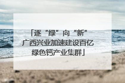 逐“绿”向“新” 广西兴业加速建设百亿绿色钙产业集群