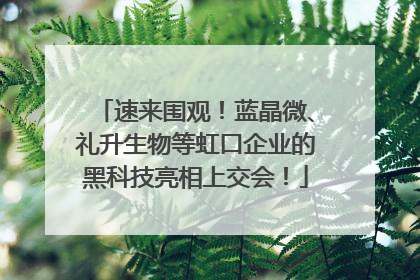 速来围观！蓝晶微、礼升生物等虹口企业的黑科技亮相上交会！