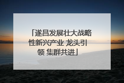 遂昌发展壮大战略性新兴产业 龙头引领 集群共进