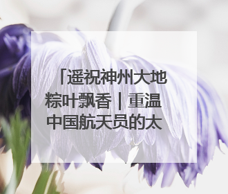 遥祝神州大地粽叶飘香｜重温中国航天员的太空祝福