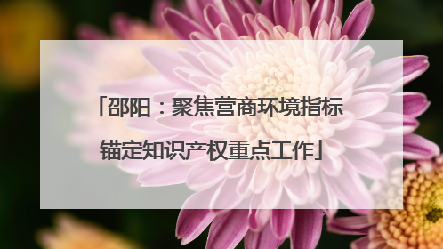 邵阳：聚焦营商环境指标 锚定知识产权重点工作