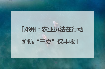邓州：农业执法在行动 护航“三夏”保丰收