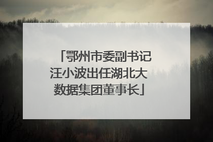 鄂州市委副书记汪小波出任湖北大数据集团董事长