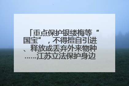重点保护银缕梅等“国宝”，不得擅自引进、释放或丢弃外来物种……江苏立法保护身边的生物“朋友圈”
