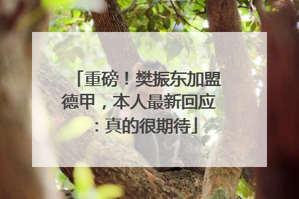 重磅！樊振东加盟德甲，本人最新回应：真的很期待