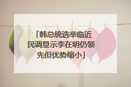 韩总统选举临近 民调显示李在明仍领先但优势缩小