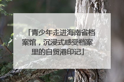 青少年走进海南省档案馆，沉浸式感受档案里的自贸港印记