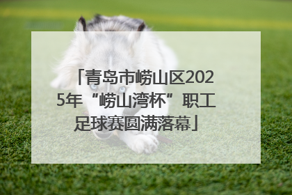 青岛市崂山区2025年“崂山湾杯”职工足球赛圆满落幕