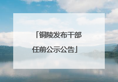 铜陵发布干部任前公示公告