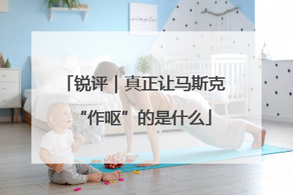 锐评｜真正让马斯克“作呕”的是什么