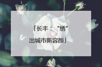 长丰：“绣”出城市新容颜