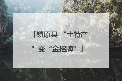 镇原县 “土特产”变“金招牌”