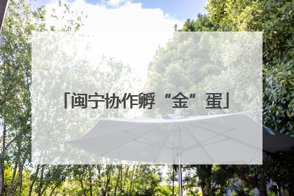 闽宁协作孵“金”蛋