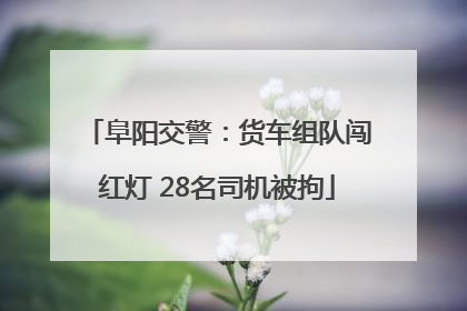 阜阳交警：货车组队闯红灯 28名司机被拘