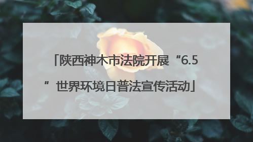 陕西神木市法院开展“6.5”世界环境日普法宣传活动