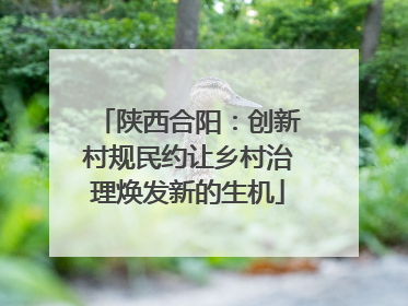 陕西合阳：创新村规民约让乡村治理焕发新的生机