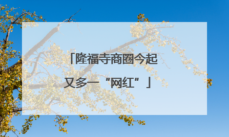隆福寺商圈今起又多一“网红”