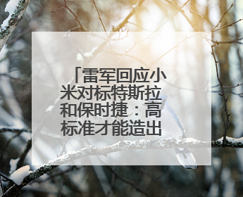 雷军回应小米对标特斯拉和保时捷：高标准才能造出一辆好车