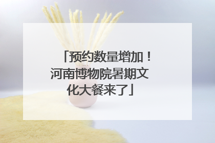 预约数量增加！河南博物院暑期文化大餐来了