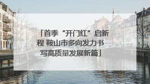 首季“开门红”启新程 鞍山市多向发力书写高质量发展新篇