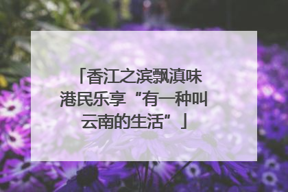 香江之滨飘滇味 港民乐享“有一种叫云南的生活”