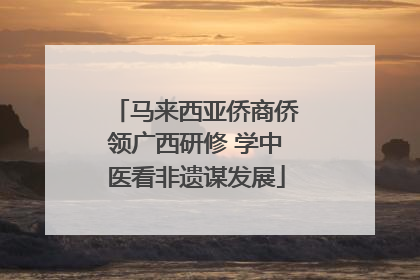 马来西亚侨商侨领广西研修 学中医看非遗谋发展