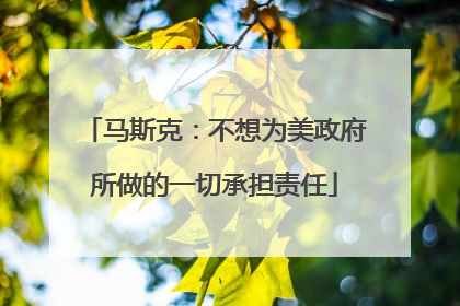 马斯克：不想为美政府所做的一切承担责任